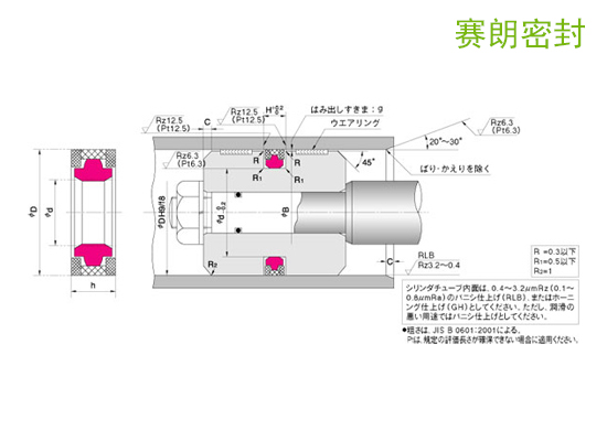 NOK-SPGW型活塞密封_NOK密封件