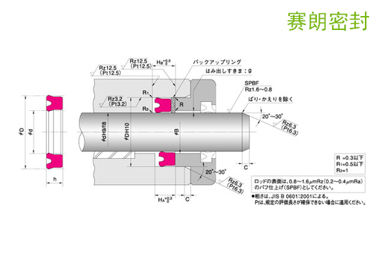 NOK-UPI型活塞/活塞杆密封_NOK密封件